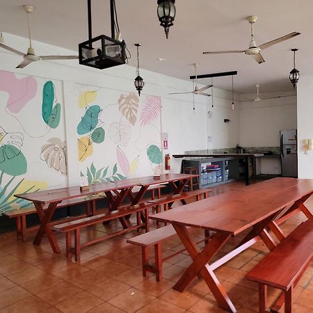 Poco A Poco Hostel León Kültér fotó