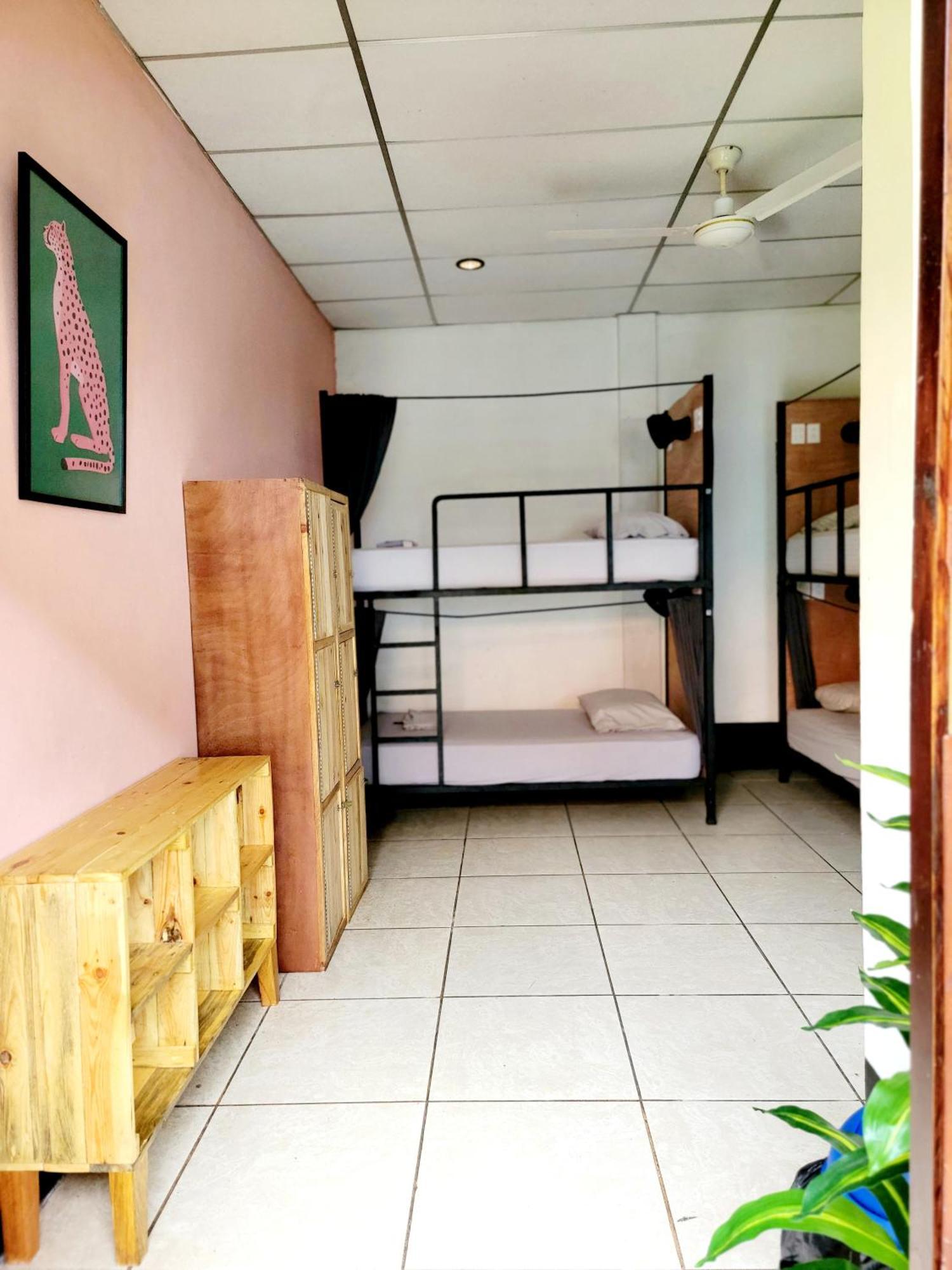 Poco A Poco Hostel León Kültér fotó