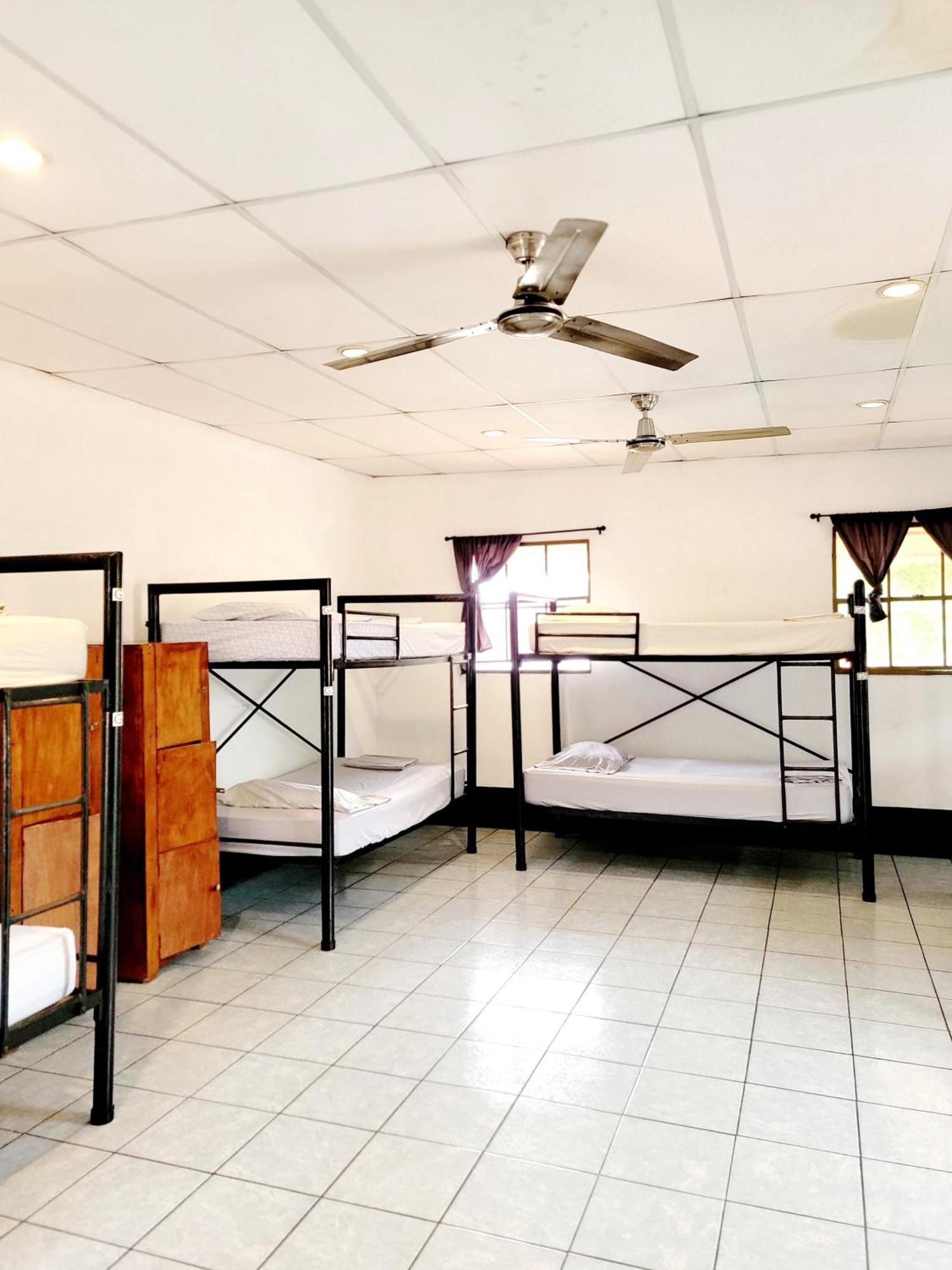 Poco A Poco Hostel León Kültér fotó