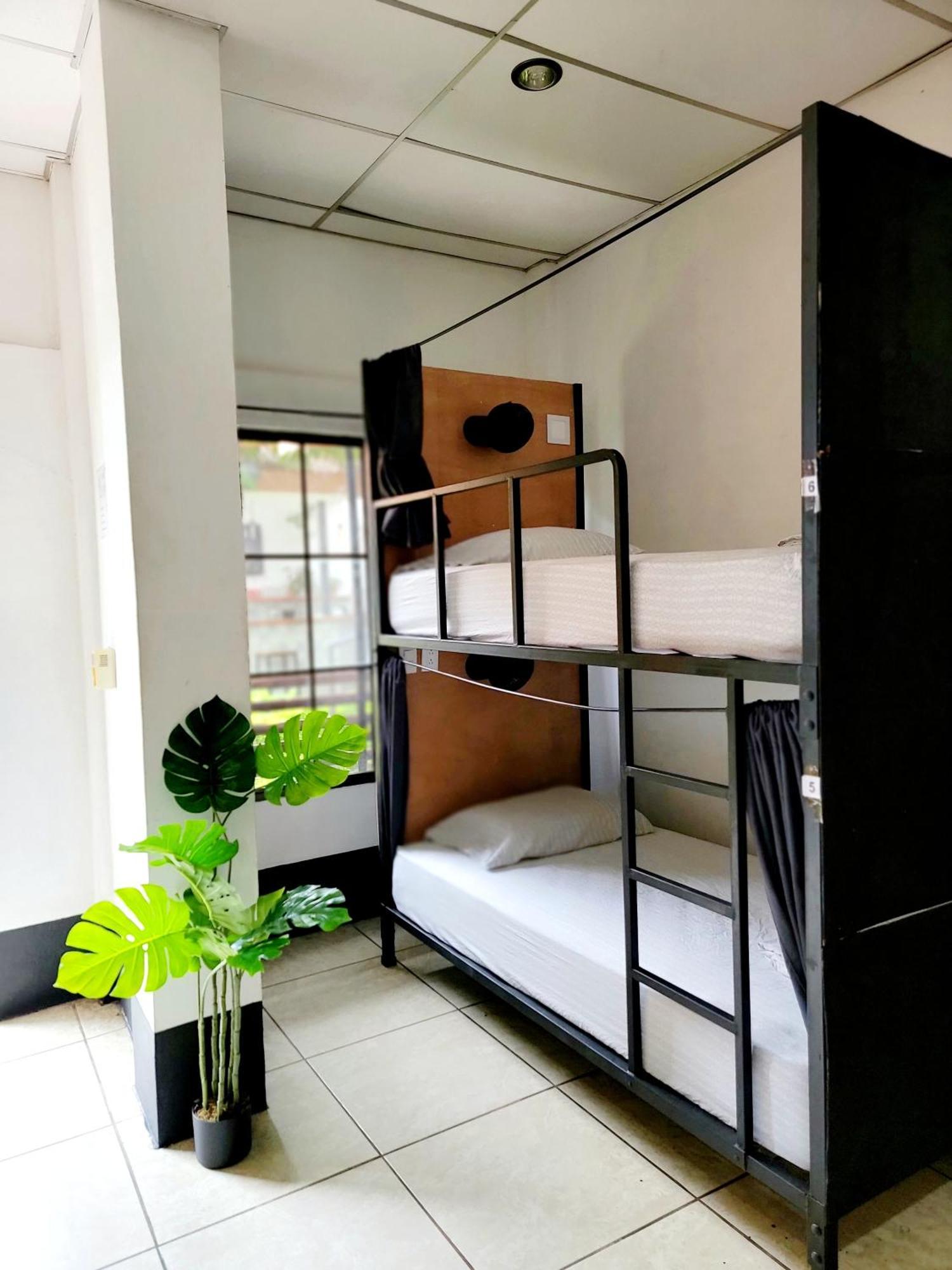 Poco A Poco Hostel León Kültér fotó