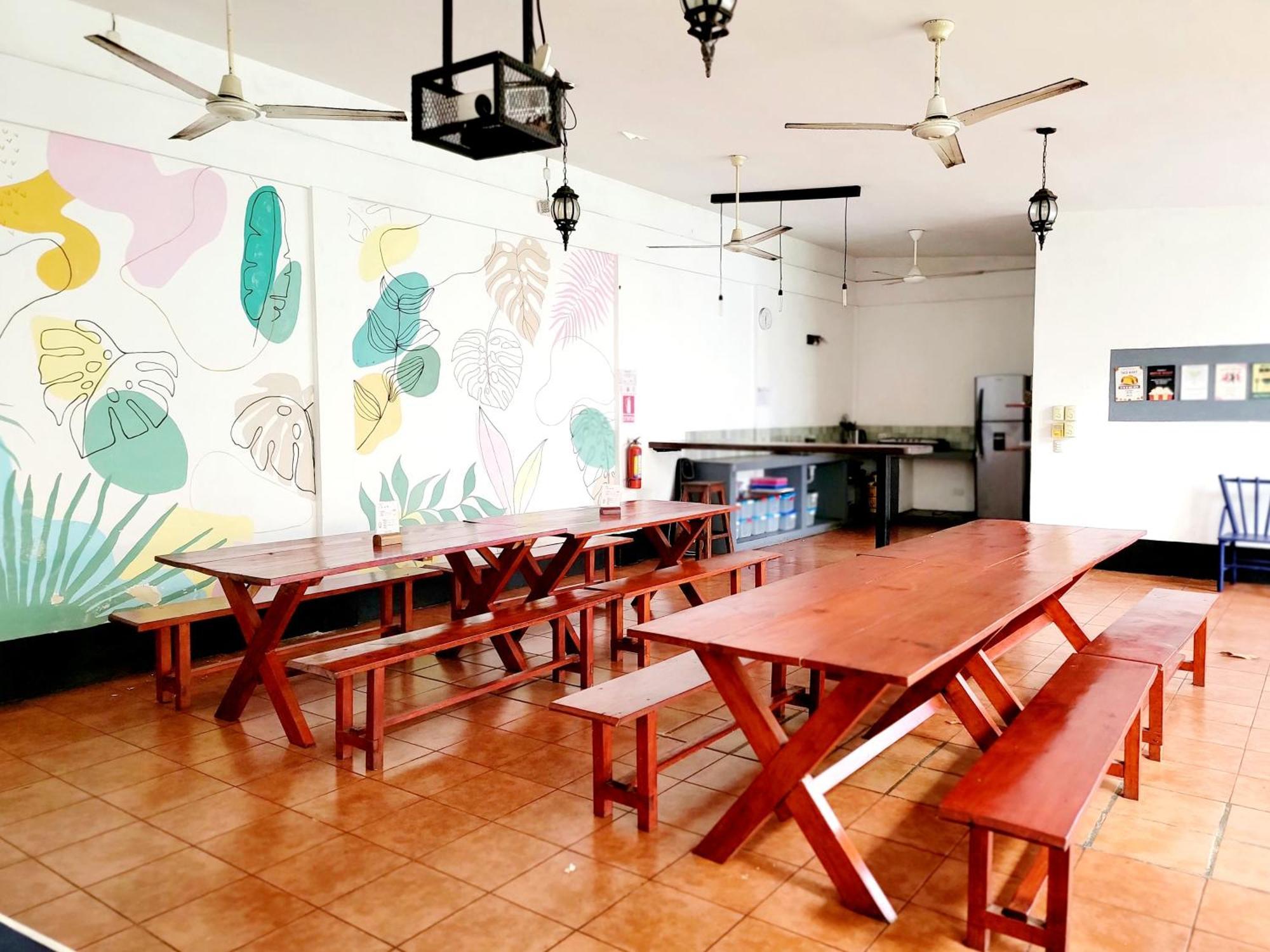 Poco A Poco Hostel León Kültér fotó